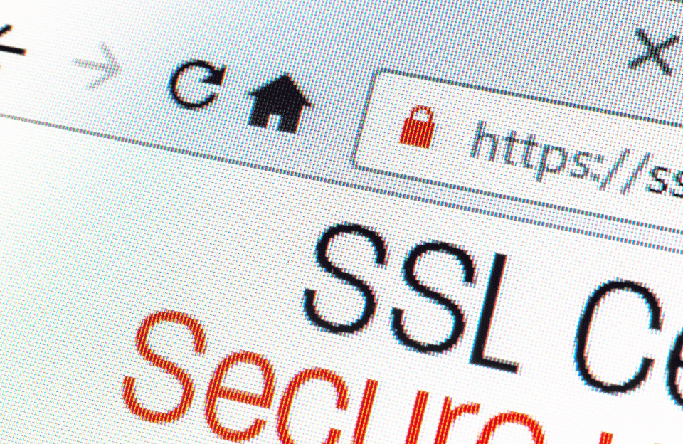 Analiza Podatności Smart TV (Model 2024)